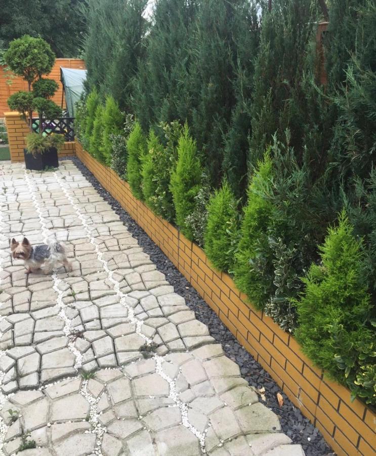 Apartment Luxe Free Wifi, Free Parking, Free Netflix Friern Barnet Екстер'єр фото